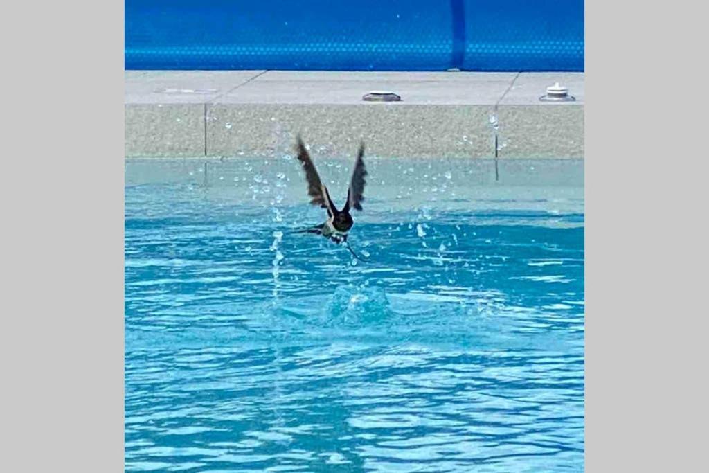 Villa Eni Medulin Sisan Heated Pool Ngoại thất bức ảnh